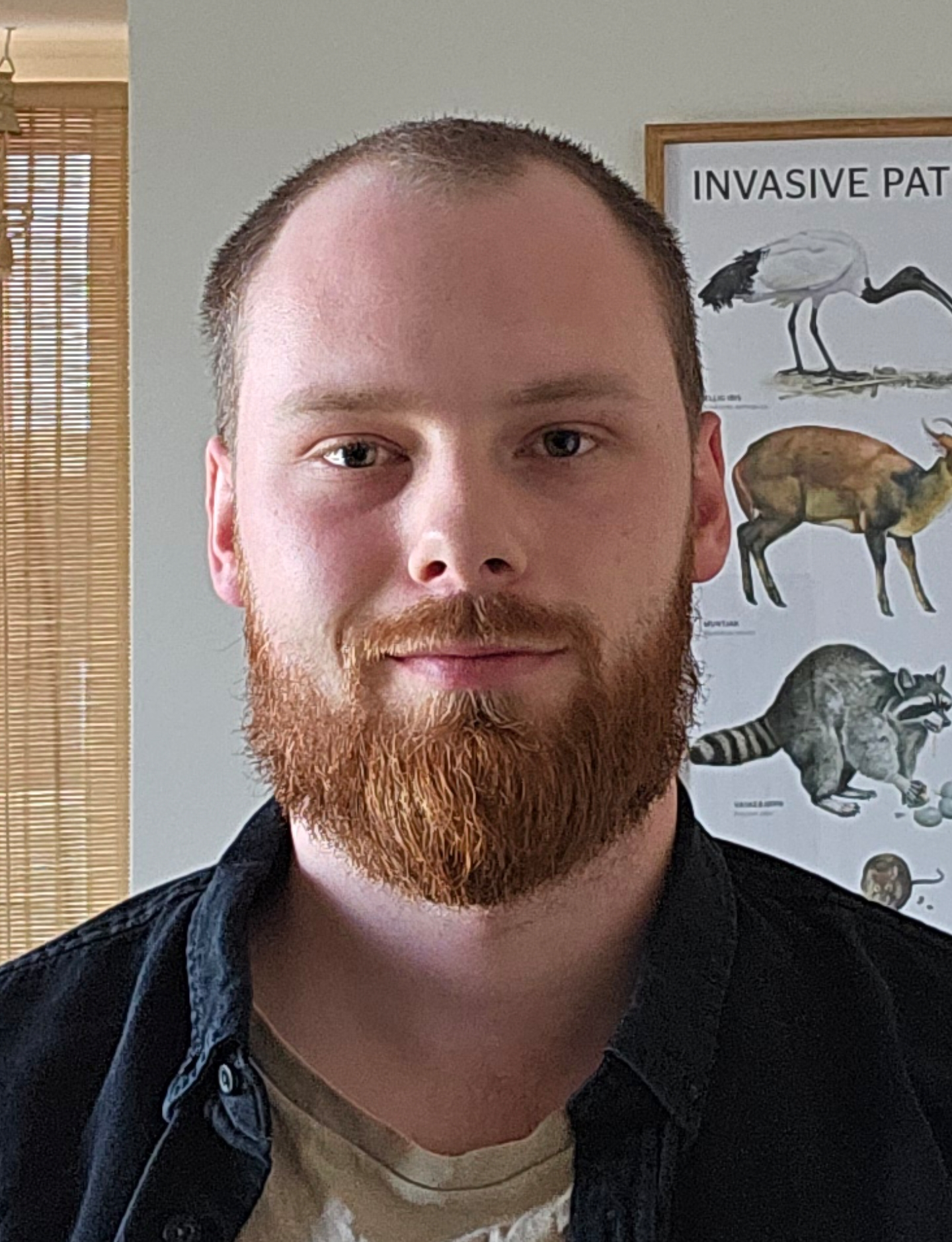 Aske from The Woodworker's Archive