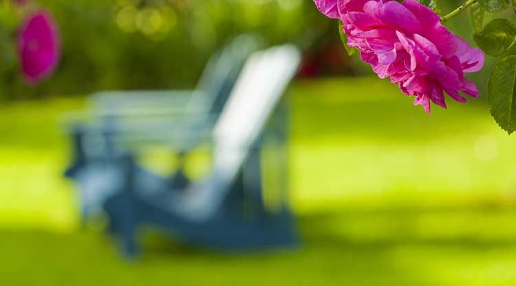 Double Rocker woodworking plan