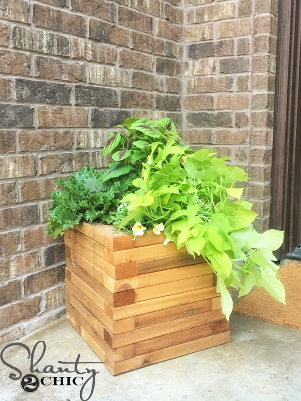 DIY $25 Cedar Planter and How-to Video woodworking plan