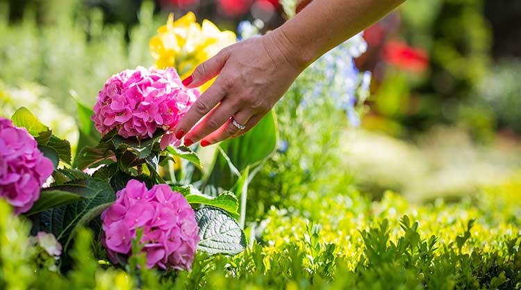 Garden Bench - Image 1