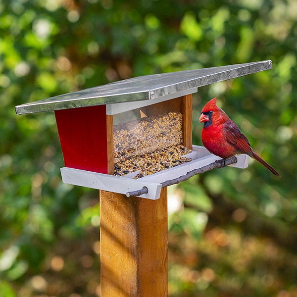 Bird Feeder Plan - Image 1