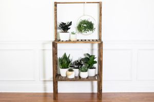 DIY Plant Shelf - Image 1