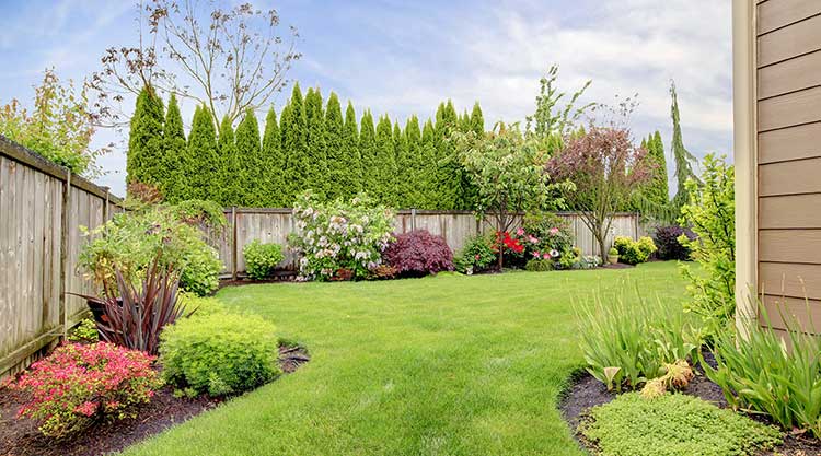 Double Adirondack Chair - Image 1