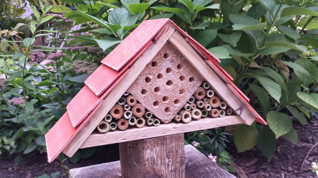 Bee Hotel - Image 1