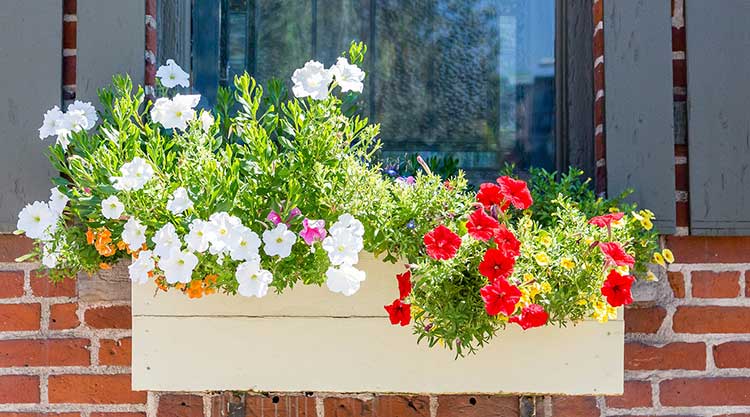Window Planter Box - Image 1