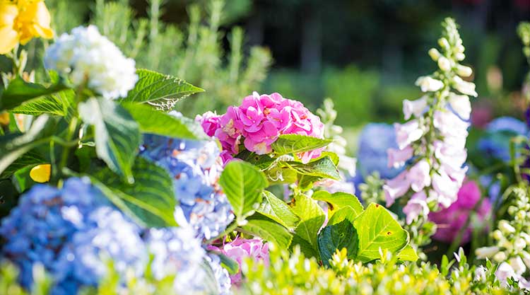 Planter Bench - Image 1
