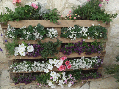 How to Make a Pallet Garden - Image 1