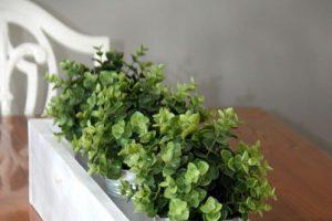 Planter Box Centerpiece - Image 1
