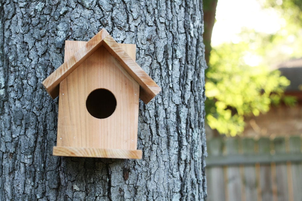 DIY Birdhouse from One Cedar Fence Picket woodworking plan
