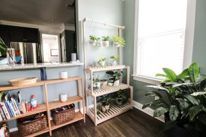 DIY Plant Stand with Hanging Bar - Image 1