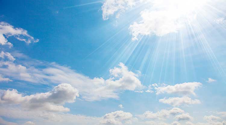 Bird Feeder - Image 1