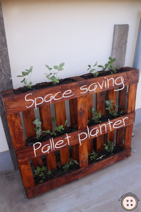 Space Saving Pallet Planter - Image 1