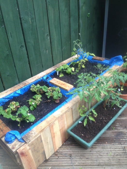Raised Bed From Old Pallets - Image 1
