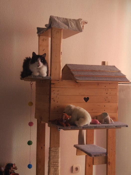 Pallet Cat House on Stilts woodworking plan