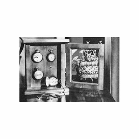 Woodworking Project Paper Plan to Build Watch Display Case woodworking plan