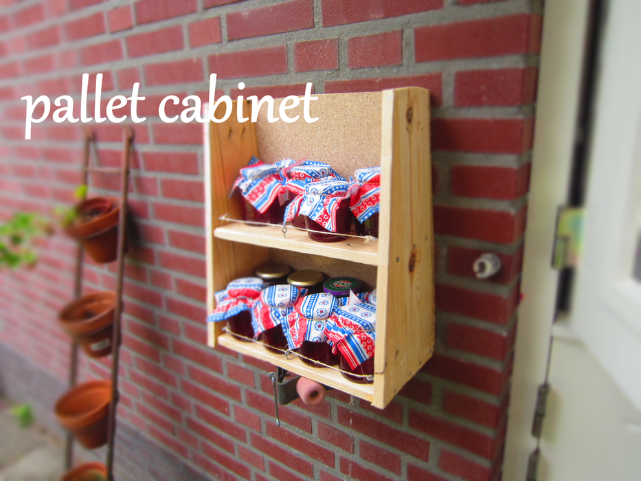 Pallet Cabinet - Image 1