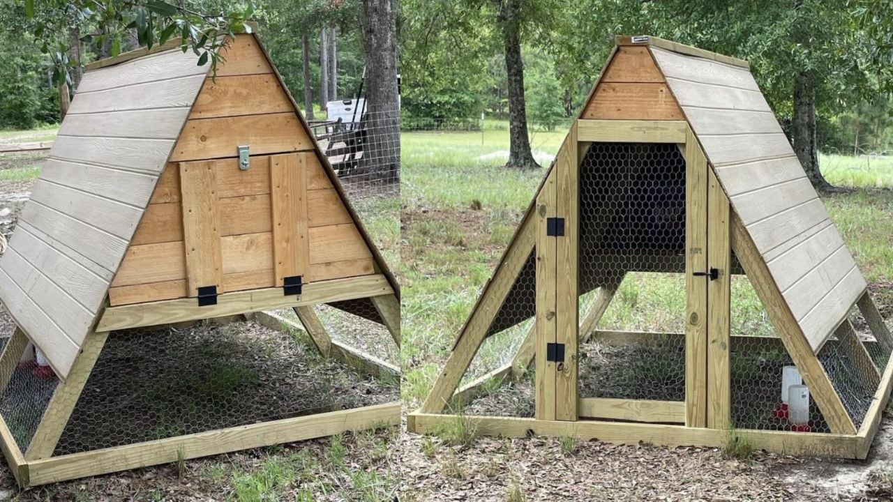 Updated A Frame Chicken Coop Plans - Image 1