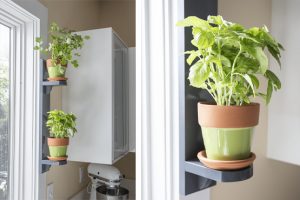 Simple Indoor Herb Shelf - Image 1