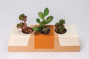 Succulent Tabletop Planter - Image 1