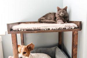 Pet Bunk Bed woodworking plan