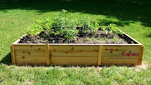 Cedar Fence Picket Raised Garden Beds – 3′ x 6′ woodworking plan