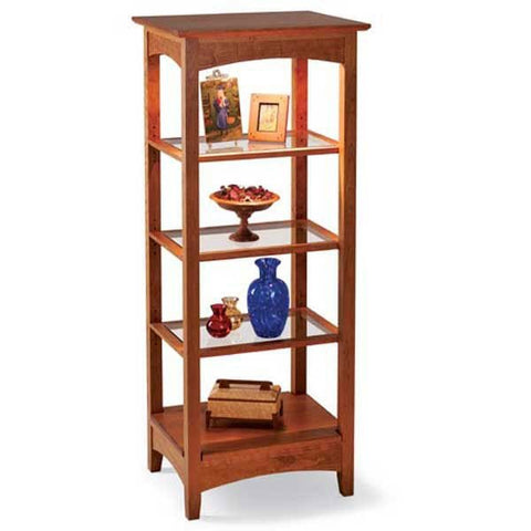 Woodworking Project Paper Plan to Build Lighted Showcase - Image 1