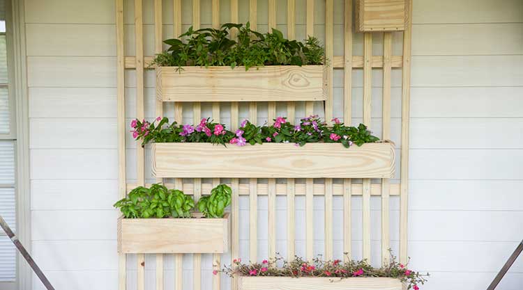 Planter Shelves (+Hack) - Image 1