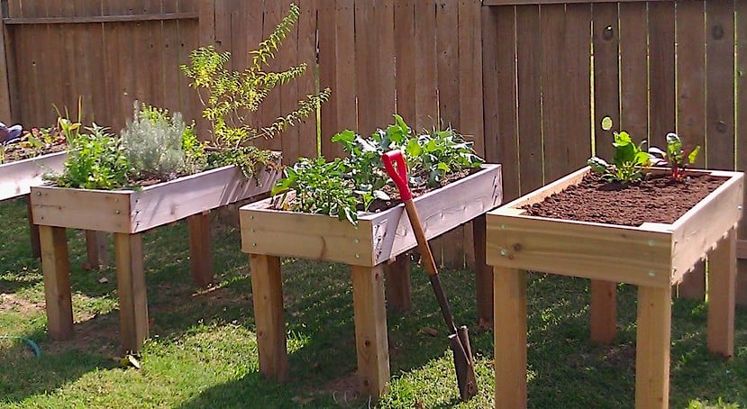 Simple Raised Garden Boxes by Janet Fox woodworking plan