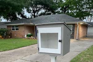 Little Library - Image 1