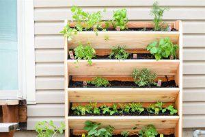 Vertical Herb Garden - Image 1