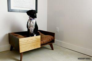 DIY Modern Dog Bed - Image 1