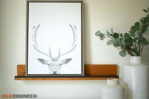 Display Ledge/Shelf - Image 1