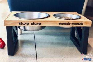 Build a Modern Doggie Feeding Station woodworking plan