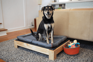 Dog Bed - Image 1