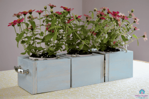 Locket Planter Box - Image 1