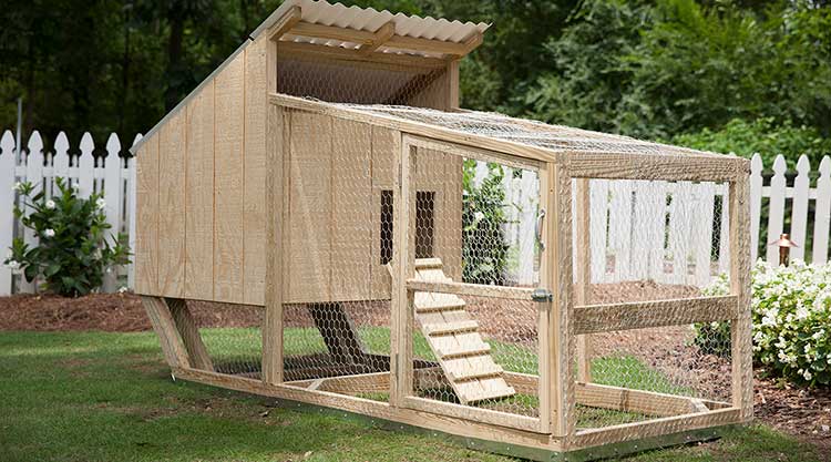Chicken Coop (+Hack) woodworking plan