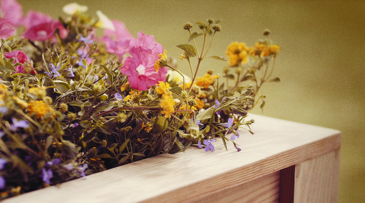 Planter Box woodworking plan